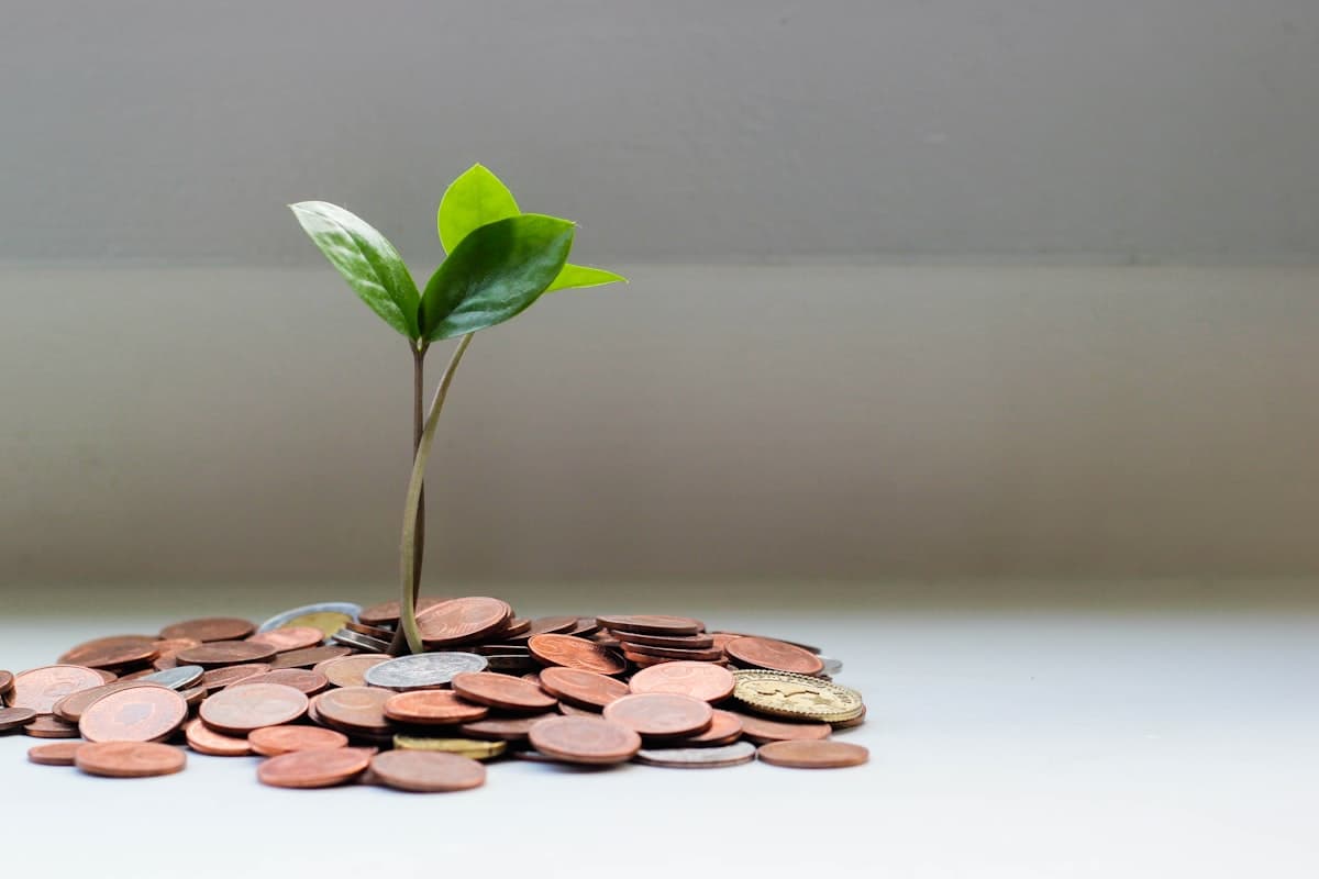 Cash Flow Management for Ecommerce
